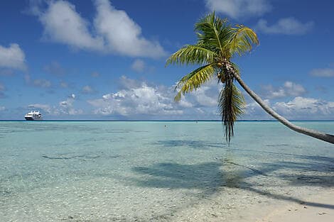 Oct 17, 26 - Fakarava, Tuamotu Islands