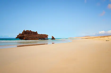 Nov 11, 25 - Boa Vista