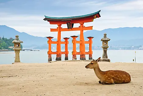Mar 16, 26 - Miyajima Island