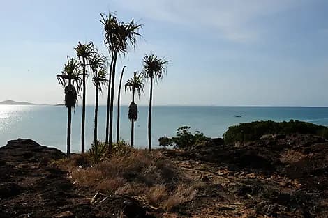 Dec 16, 26 - Cape York