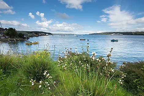 Nov 7, 26 - Quemchi, Chiloe Island