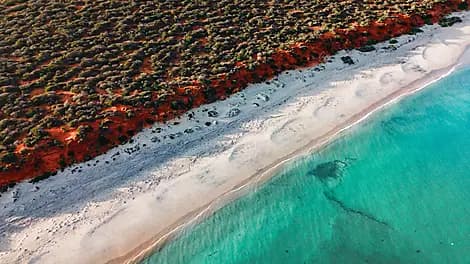 Aug 5, 26 - Shark Bay World Heritage Area