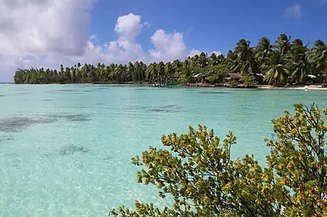 Oct 7, 26 - Rangiroa, Tuamotu Islands