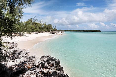 Feb 7, 26 > Feb 8, 26 - Aldabra Atoll