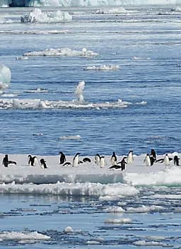 Jan 31, 27 > Feb 7, 27 - Ross Sea Region