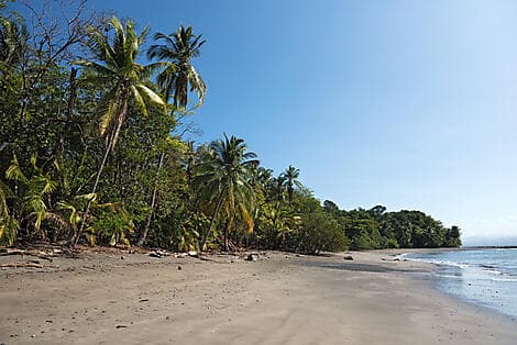 Mar 11, 26 - Cébaco Island