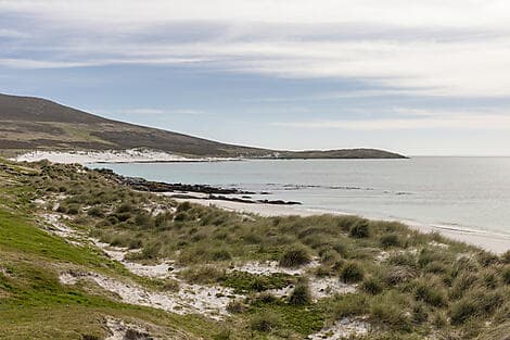 Mar 13, 28 > Mar 14, 28 - Carcass Island