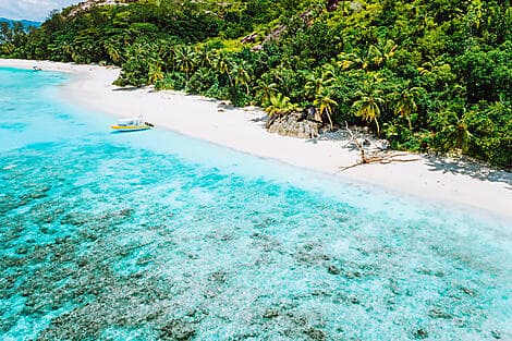 Feb 3, 26 - Thérèse Island