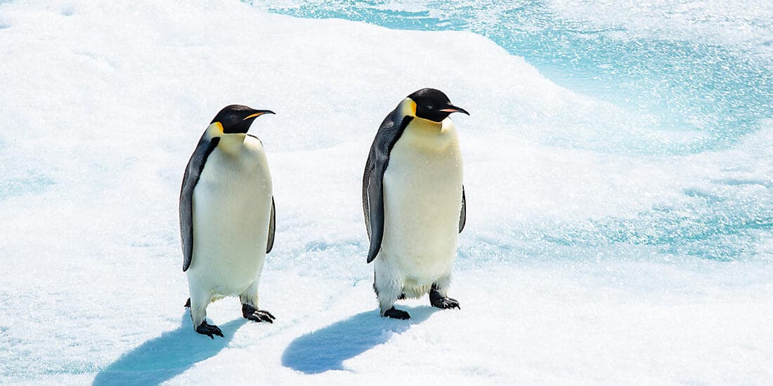 Beyond the Antarctic Circle – In the Wake of Jean-Baptiste Charcot