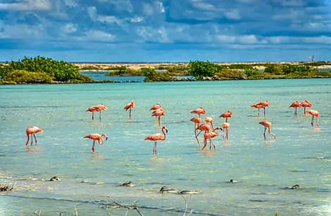 Mar 31, 26 - Bonaire