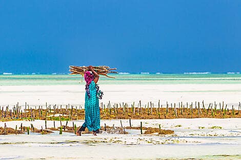 Feb 12, 26 - Pemba Island