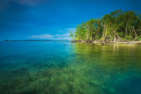 Jan 15, 26 - Mentawai Islands, Sumatra