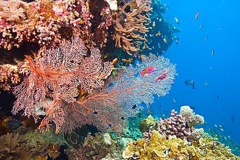 Jan 19, 27 > Jan 20, 27 - Curieuse Island