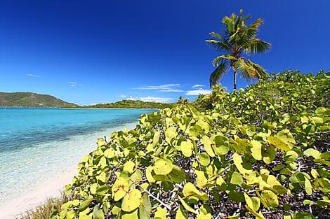 Jan 20, 27 - Beef Island