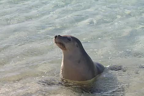 Aug 7, 26 - Jurien Bay Marine Park