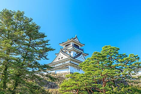 Jun 2, 26 - Kochi