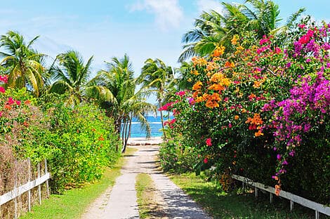Dec 30, 25 - Charlestown, Nevis