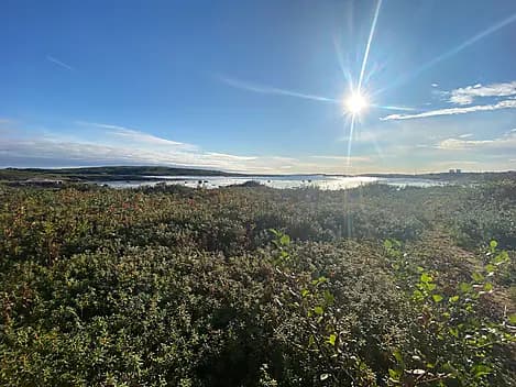 Oct 3, 25 - La Romaine