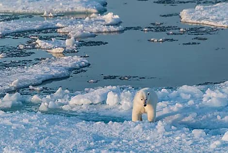 Sep 10, 26 - Coningham Bay, Nunavut
