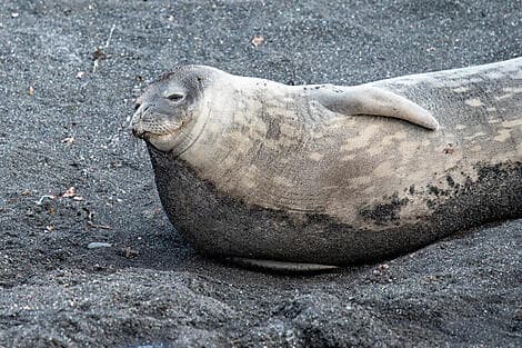 Mar 8, 26 > Mar 9, 26 - French Southern and Antarctic Lands