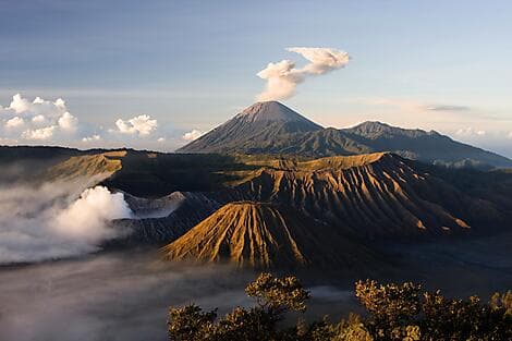 Jan 8, 26 - Probolinggo, Java