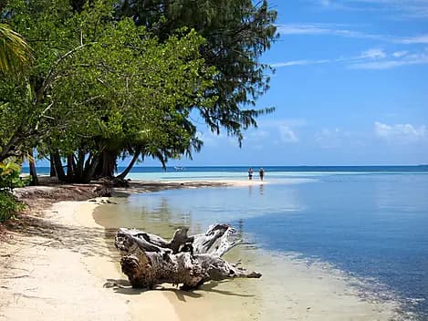 Dec 9, 25 - Water Caye, Isla Utila