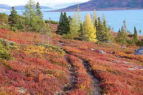 Sep 16, 26 - Nain