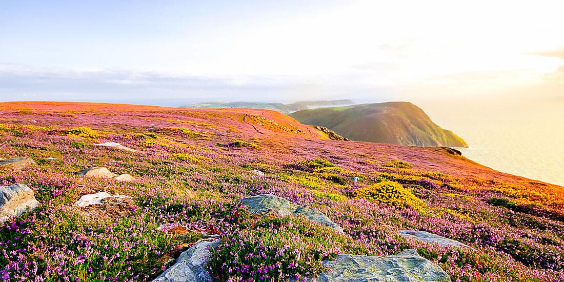 Wonders of the Celtic shores