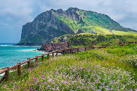 Mar 13, 26 - Jeju