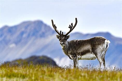 Oct 16, 26 - South-West Region of Spitsbergen