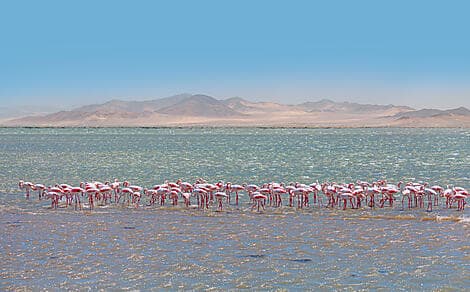 Dec 17, 25 - Walvis Bay