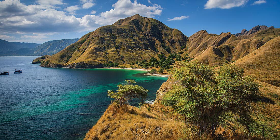 Tropical Odyssey between Indonesia and North East Australia