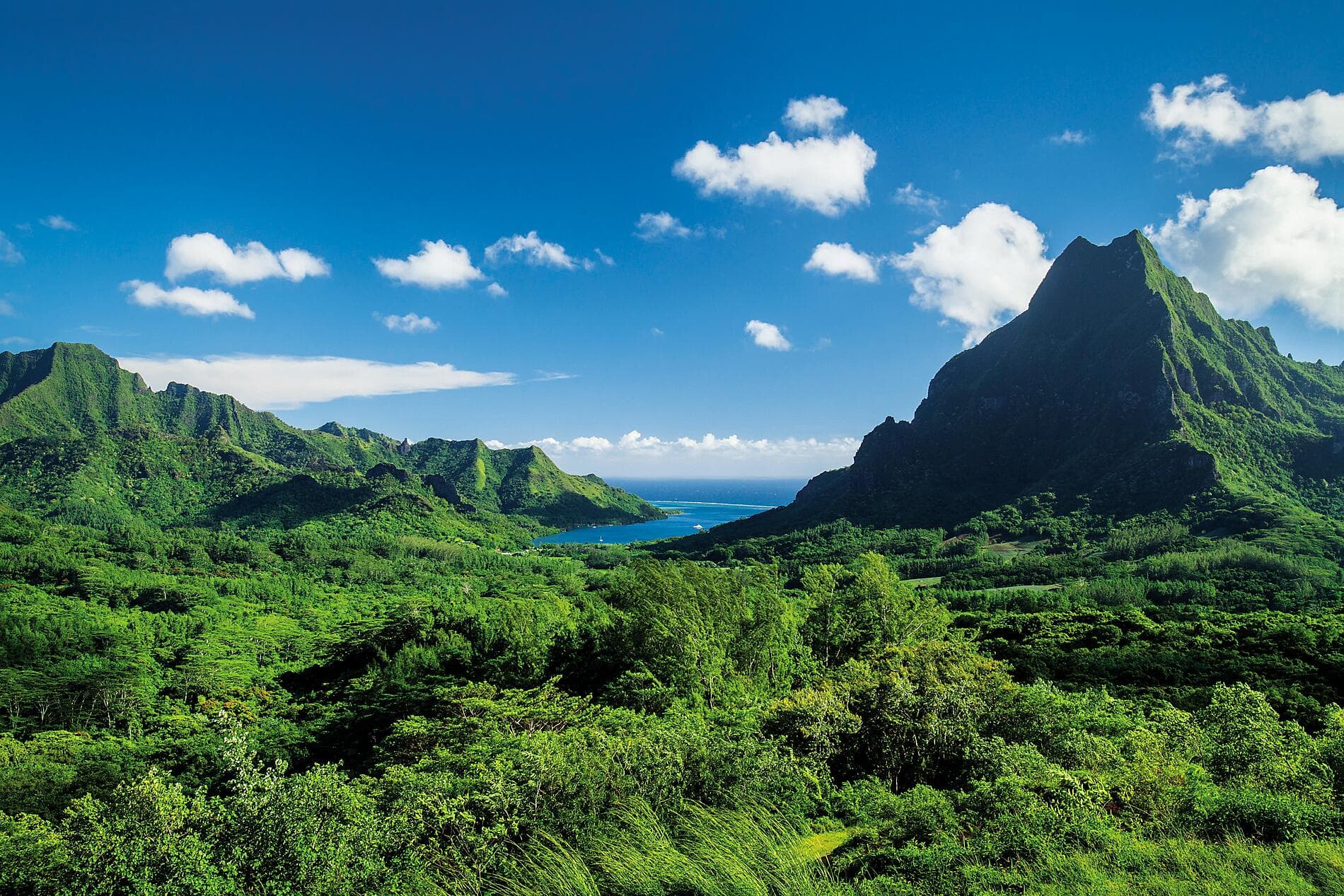 Ancestral Cultures of the South Pacific 