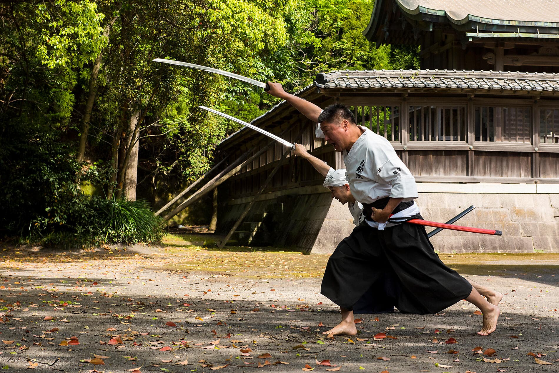 Island Wonders & the Soul of Ancestral Japan 
