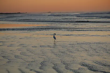 Mar 19, 27 - Rio Grande