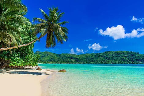 Feb 6, 26 - Anse à la Mouche