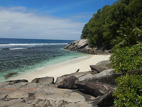 Feb 5, 26 - Middle Island