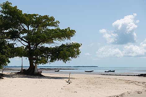Nov 21, 25 - Joao Vieira Island, Bijagos