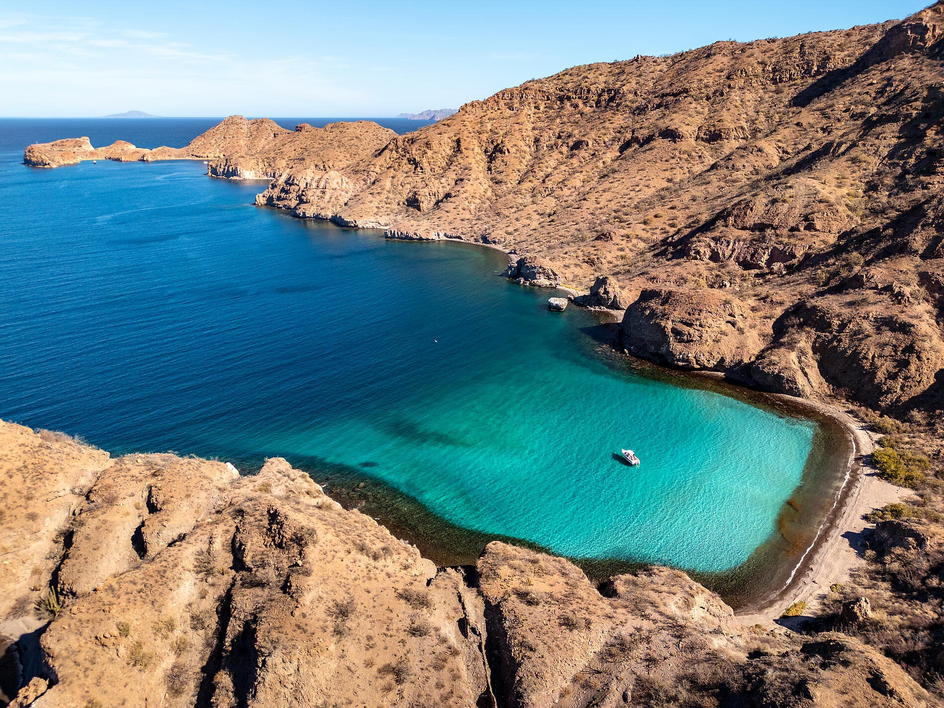 Baja and the Sea of Cortez: In Search of the Great Whales – with Smithsonian Journeys 