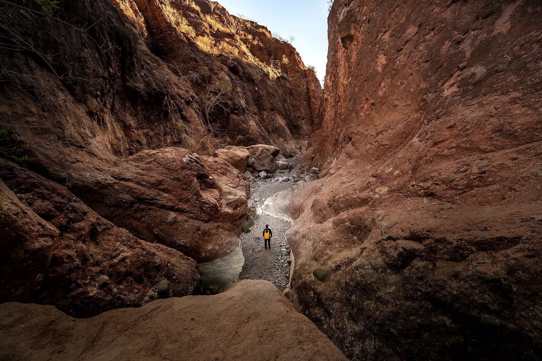 Baja and the Sea of Cortez: In Search of the Great Whales – with Smithsonian Journeys 