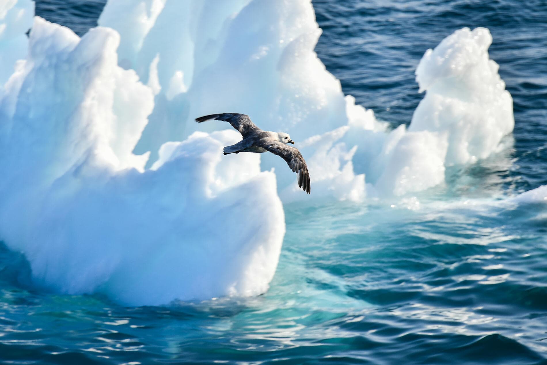 Baffin Bay secrets 