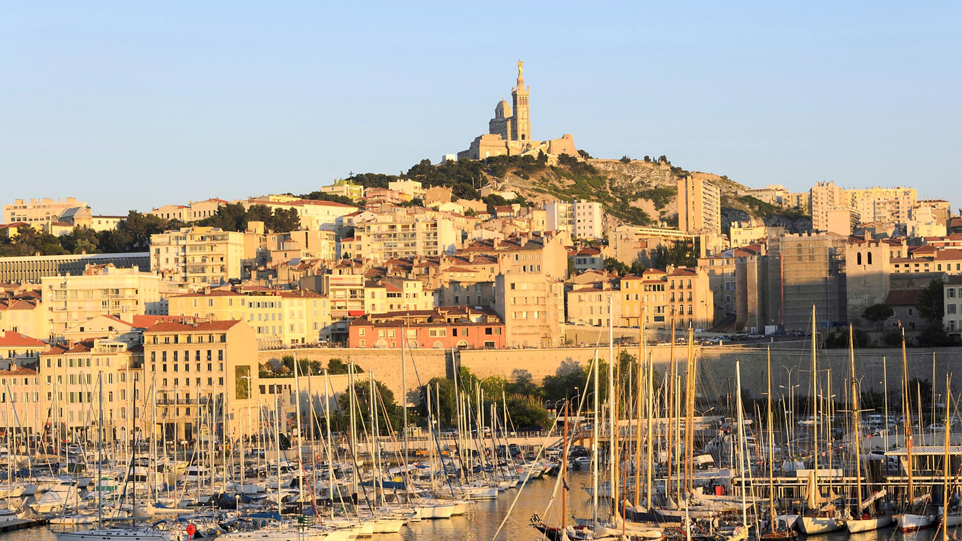 Mediterranean shores