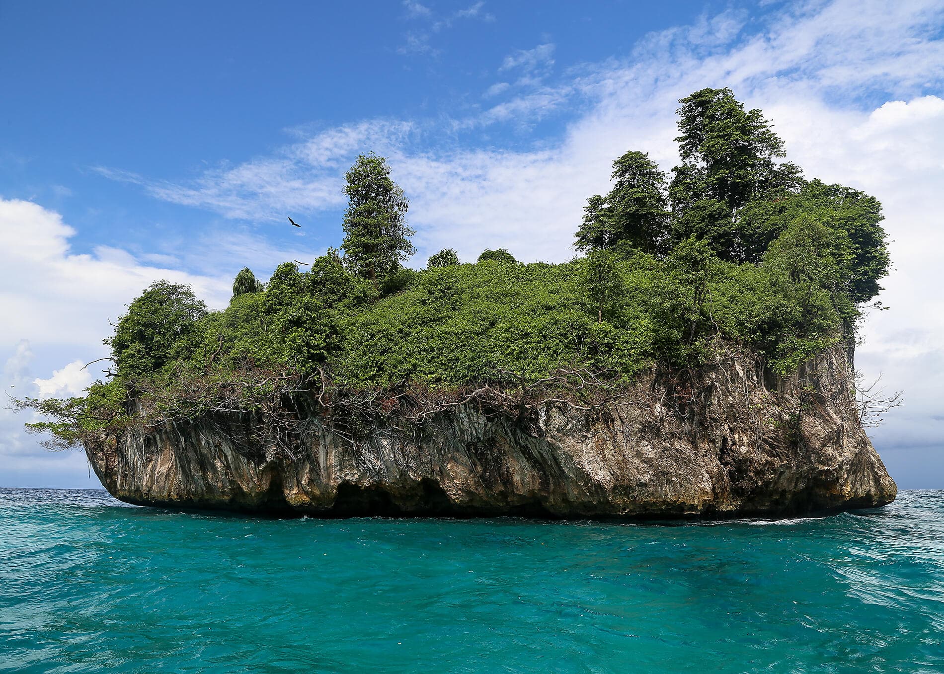 Voyage to Indonesia: Dragons, Reefs, and the Spice Islands – with Smithsonian Journeys
