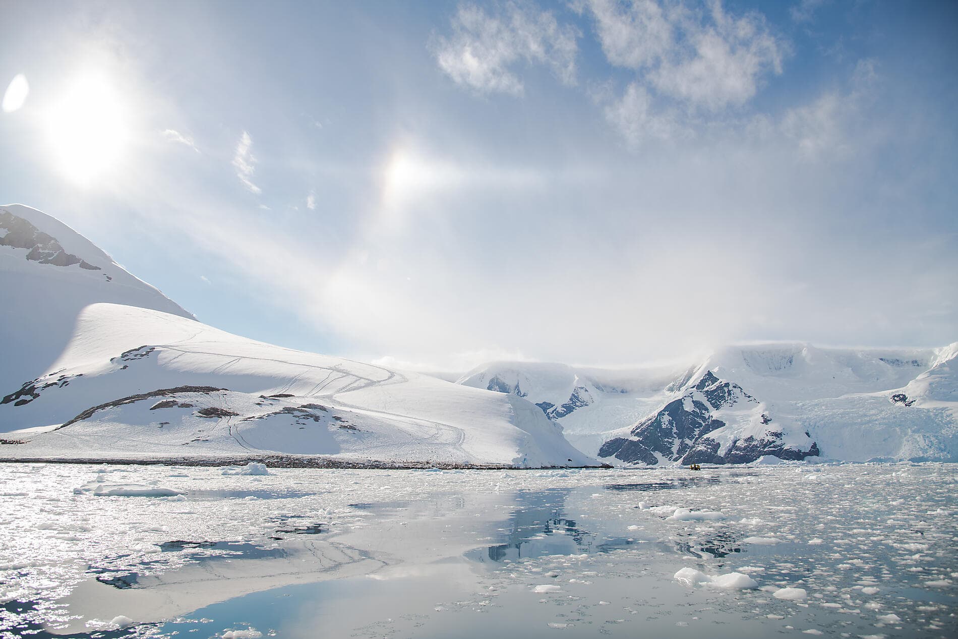 Emblematic Antarctica
