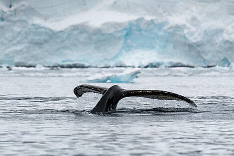 Feb 16, 28 - George V Land