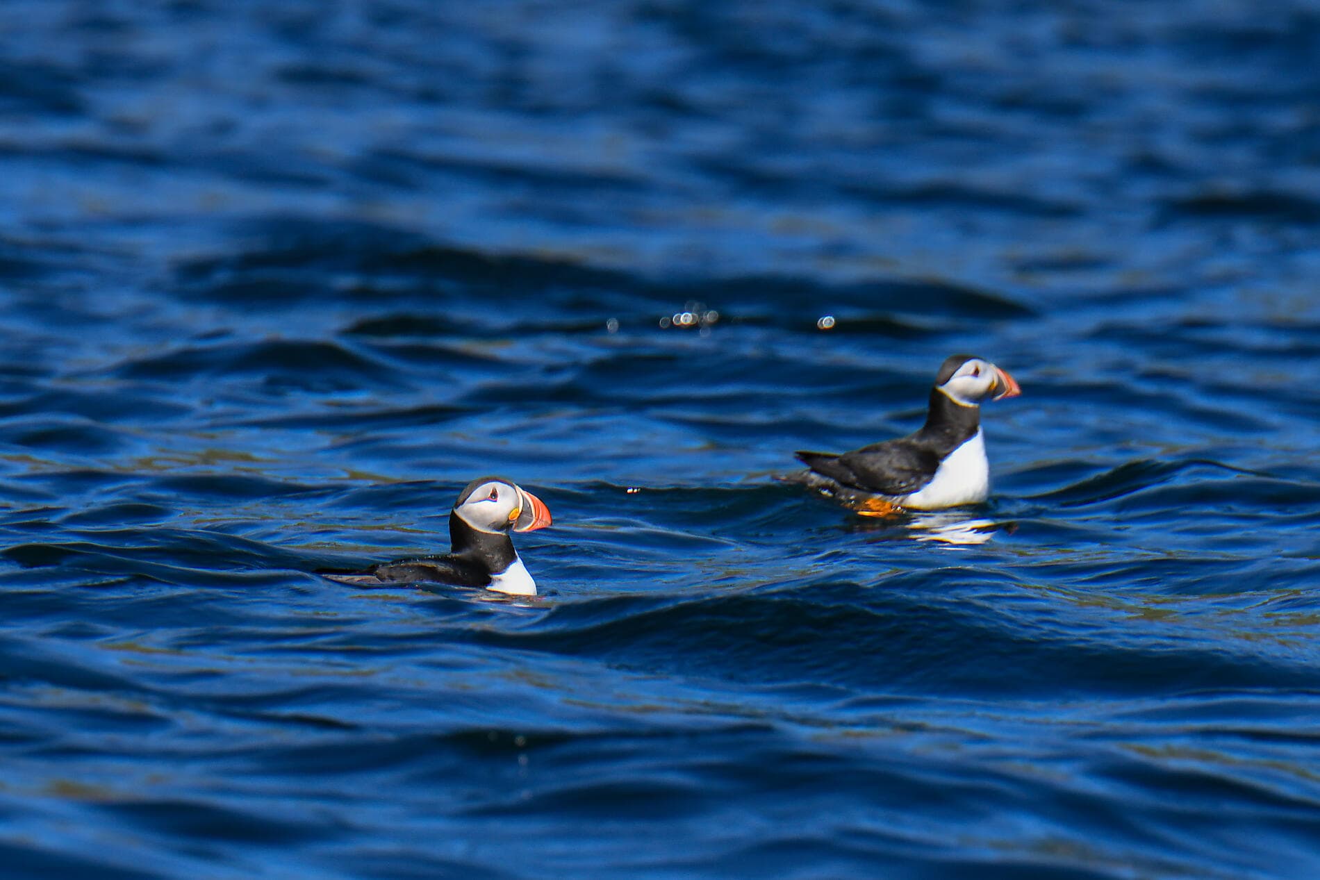 Hebrides and Highlands, lands of legends 