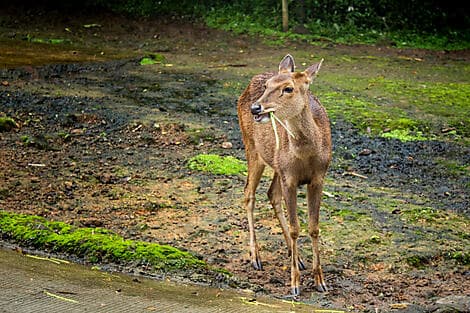 Jun 12, 27 - Baewan Island