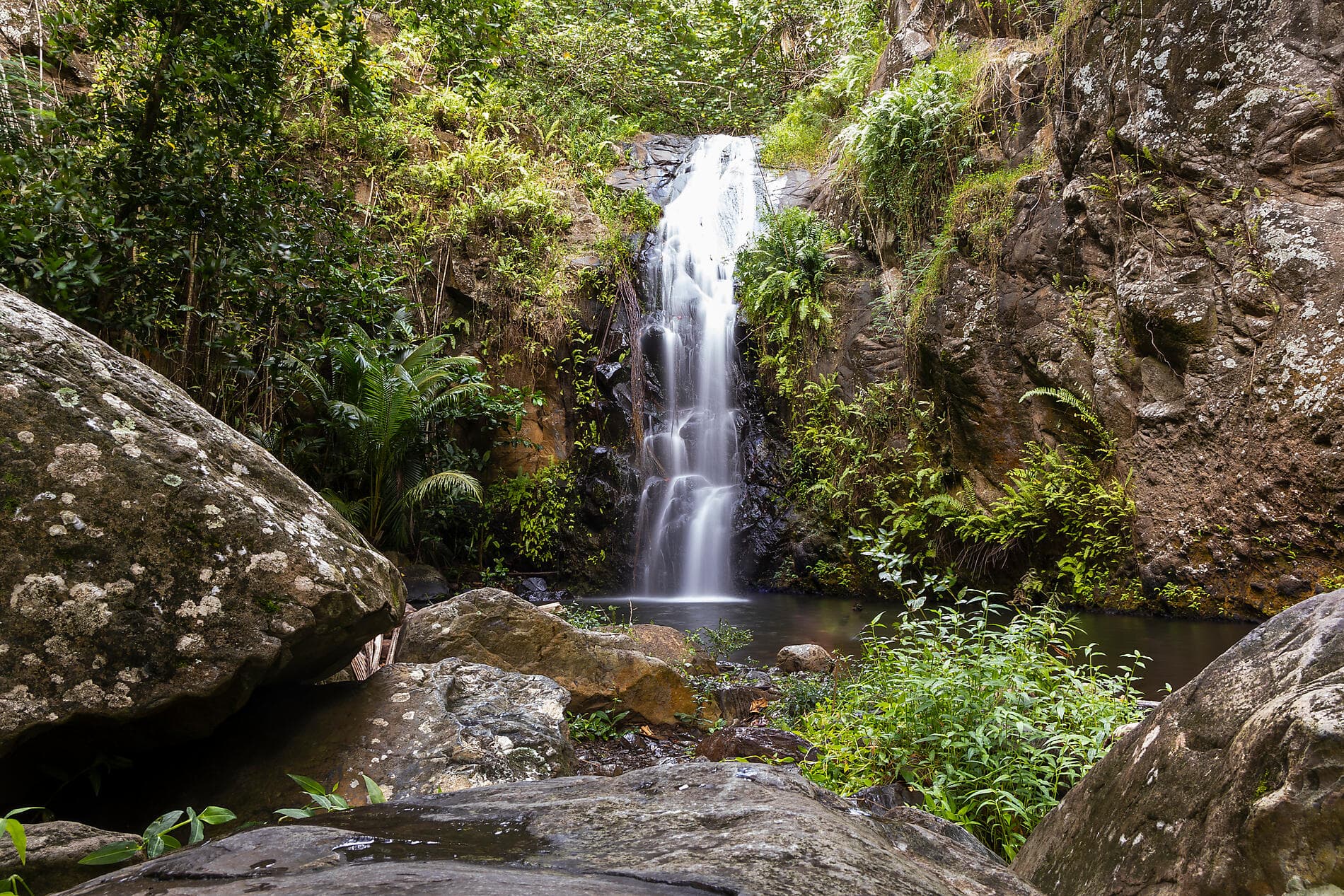 Polynesian Bliss: Marquesas and Tuamotu 