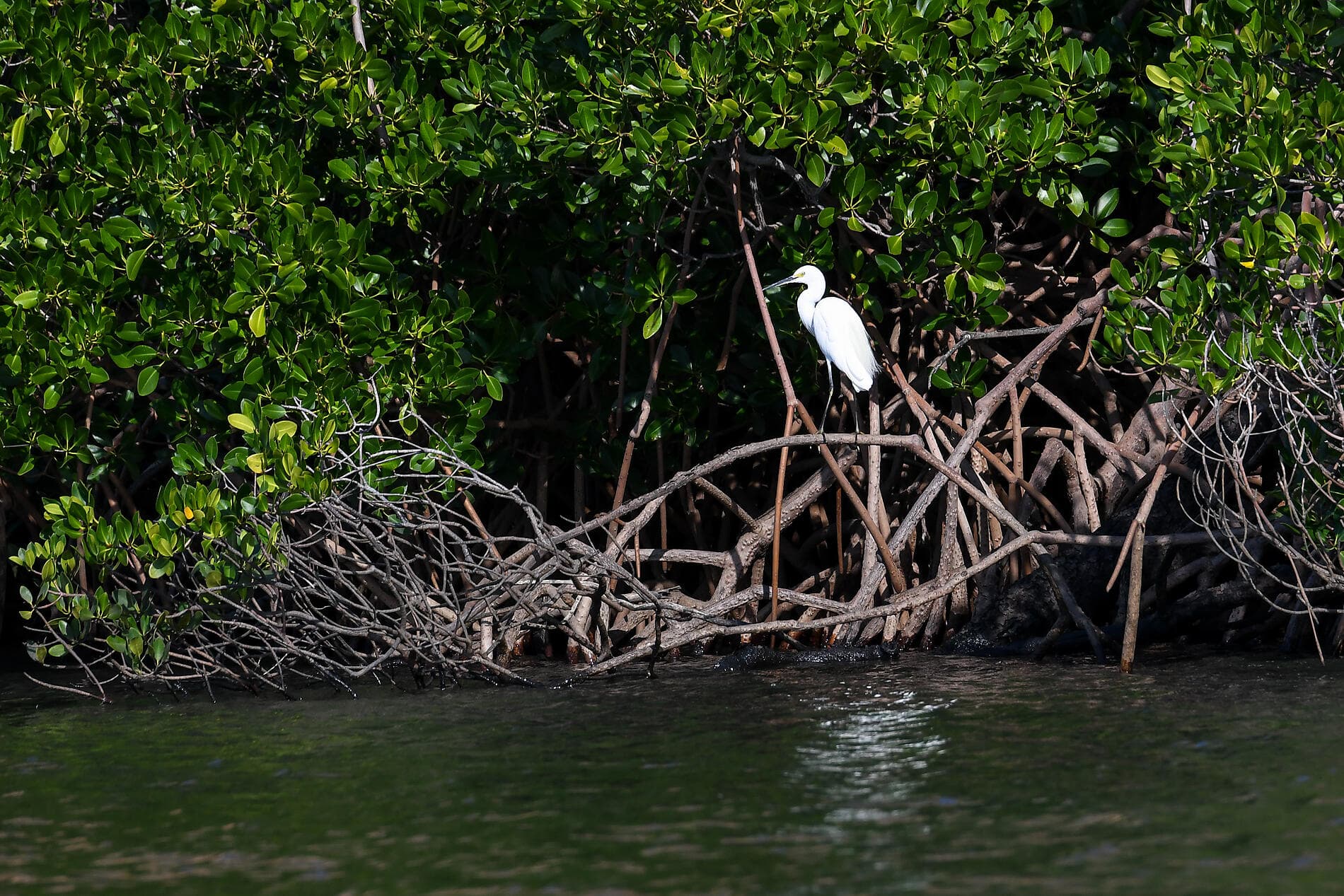 Australia's Iconic Kimberley 