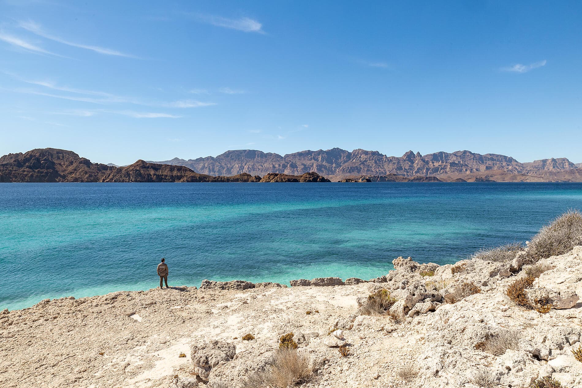 Baja and the Sea of Cortez: In Search of the Great Whales – with Smithsonian Journeys 
